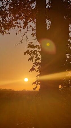 Heute gehe ich zum Yoga!